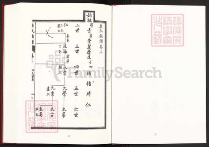 山东省泰安市宁阳县鹤山镇桑氏族谱-中国珍稀家谱丛刊稀见姓氏家谱.第42册.桑氏族谱.pdf电子版预览图3