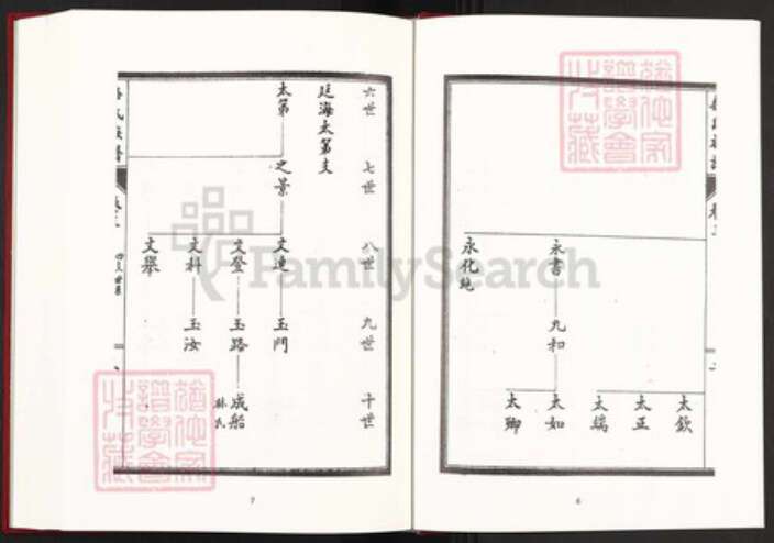 山东省泰安市宁阳县鹤山镇桑氏族谱-中国珍稀家谱丛刊稀见姓氏家谱.第42册.桑氏族谱.pdf电子版预览图5