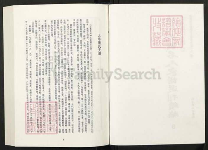 江苏省苏州市太仓市潘氏族谱-清代民国名人家谱选刊续编.第9~13册.大阜潘氏支谱.pdf电子版预览图2