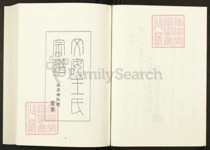 河北省廊坊市文安县王氏族谱-清代民国名人家谱选刊续编.第25册.文安王氏宗谱.万氏世家谱.先贤万子嫡裔世系谱.pdf电子版预览图5