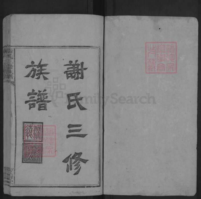 湖南省湘潭市湘乡市湘乡湖南省邵阳市邵阳县谢氏族谱-谢氏三修族谱.pdf电子版预览图1