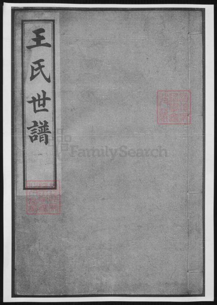 山东省淄博市桓台县王氏族谱-王氏世谱.pdf电子版缩略图