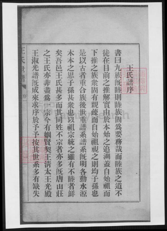 山东省淄博市桓台县王氏族谱-王氏世谱.pdf电子版预览图5