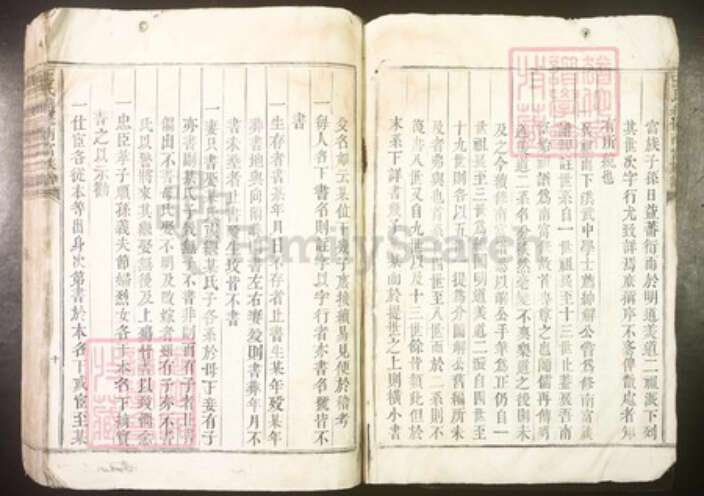 江西省吉安市泰和市王氏族谱-王氏续修南富族谱[不分卷].pdf电子版预览图4