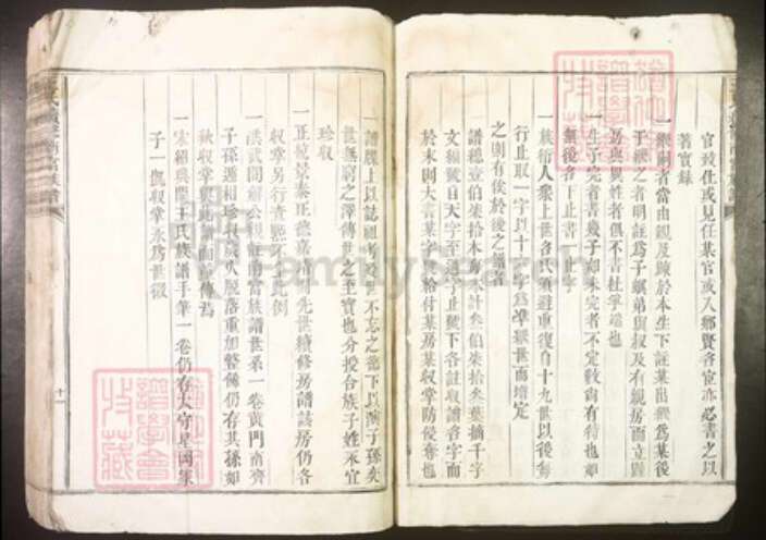 江西省吉安市泰和市王氏族谱-王氏续修南富族谱[不分卷].pdf电子版预览图5