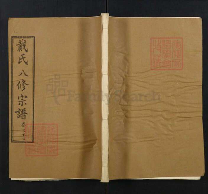 湖北省黄冈市红安县杏花乡戴氏族谱-戴氏宗谱.pdf电子版缩略图