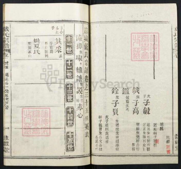 湖北省黄冈市红安县杏花乡戴氏族谱-戴氏宗谱.pdf电子版预览图2