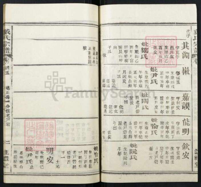 湖北省黄冈市红安县杏花乡戴氏族谱-戴氏宗谱.pdf电子版预览图3