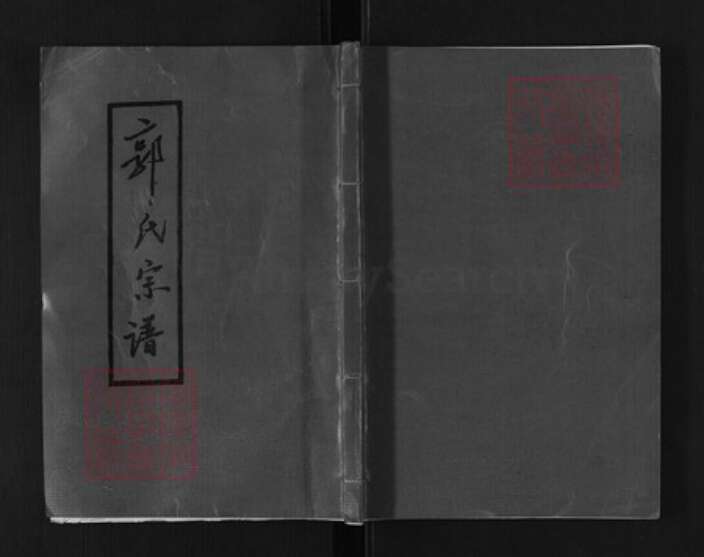 湖南省郴州市桂阳县郭氏敦本堂族谱-郭氏宗谱.pdf电子版缩略图