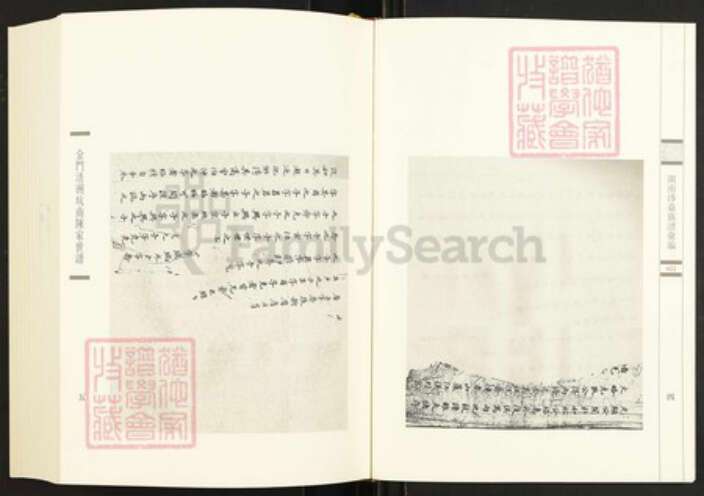 福建省泉州市金门县陈氏族谱-闽南涉台族谱汇编.第22册.金门浯洲坑南陈家世谱等.pdf电子版预览图4