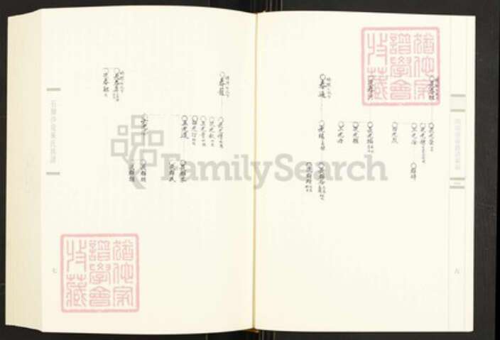 福建省泉州市石狮市永宁镇董氏族谱-闽南涉台族谱汇编.第66册.石狮沙堤董氏东城房谱等.pdf电子版预览图5