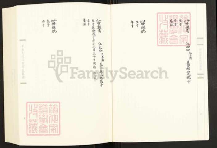 福建省漳州市华安县高车乡童氏新德堂族谱-闽南涉台族谱汇编.第68册.华安高车新德堂童氏族谱等.pdf电子版预览图5