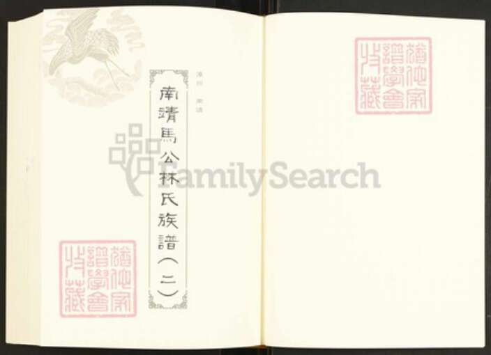 福建省漳州市龙海市林氏族谱-闽南涉台族谱汇编.第75册.漳州环溪林氏族谱等.pdf电子版预览图2