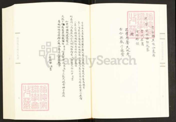 福建省漳州市龙海市林氏族谱-闽南涉台族谱汇编.第75册.漳州环溪林氏族谱等.pdf电子版预览图5