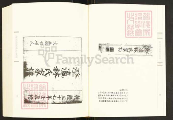 福建省漳州市龙海市角美镇林氏族谱-闽南涉台族谱汇编.第77册.漳州澄瀛林氏家谱等.pdf电子版预览图4