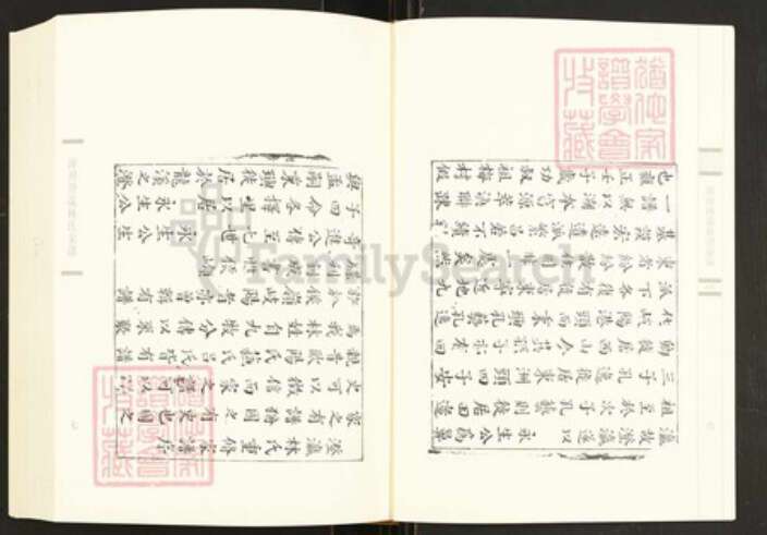 福建省漳州市龙海市角美镇林氏族谱-闽南涉台族谱汇编.第77册.漳州澄瀛林氏家谱等.pdf电子版预览图5