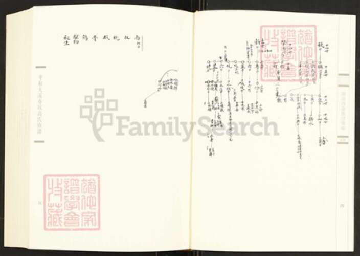 福建省泉州市安溪县湖头镇胡氏族谱-闽南涉台族谱汇编.第78~81册.清溪胡氏族谱等.pdf电子版预览图4