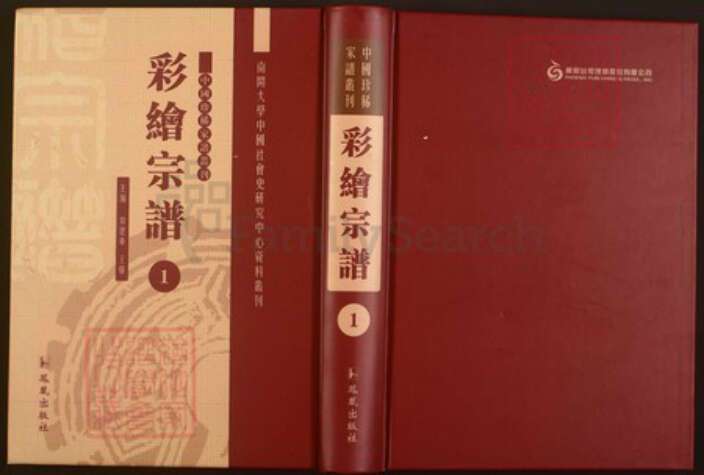 浙江省绍兴新昌县盛氏族谱-中国珍稀家谱丛刊彩绘宗谱.第1~2册.彩烟盛氏宗谱.临海下赵赵氏宗谱.pdf电子版缩略图