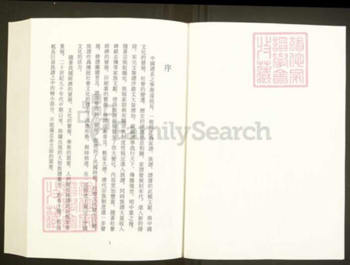 浙江省绍兴新昌县盛氏族谱-中国珍稀家谱丛刊彩绘宗谱.第1~2册.彩烟盛氏宗谱.临海下赵赵氏宗谱.pdf电子版预览图3