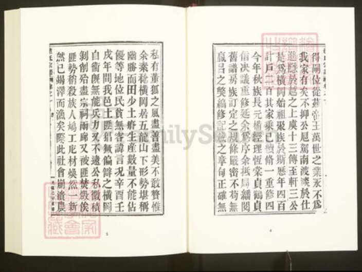 浙江省绍兴嵊州市崇仁镇赵氏族谱-中国珍稀家谱丛刊彩绘宗谱.第3~5册.赵氏宗谱.pdf电子版预览图5