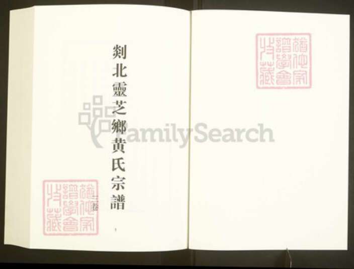 浙江省绍兴嵊州市黄氏五桂堂族谱-中国珍稀家谱丛刊彩绘宗谱.第18册.剡北灵芝乡黄氏宗谱.蒋氏宗谱.pdf电子版预览图3