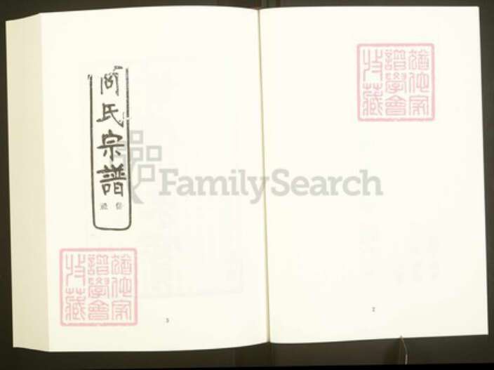 浙江省绍兴嵊州市商氏敦伦堂族谱-中国珍稀家谱丛刊彩绘宗谱.第20~21册.继锦商氏宗谱.河头沈氏宗谱.pdf电子版预览图4