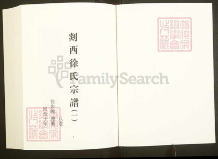 浙江省绍兴嵊州市下王镇徐氏追远堂族谱-中国珍稀家谱丛刊彩绘宗谱.第28~31册.剡西徐氏宗谱.林盛杨氏宗谱.pdf电子版预览图3