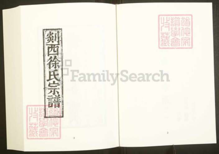 浙江省绍兴嵊州市下王镇徐氏追远堂族谱-中国珍稀家谱丛刊彩绘宗谱.第28~31册.剡西徐氏宗谱.林盛杨氏宗谱.pdf电子版预览图4