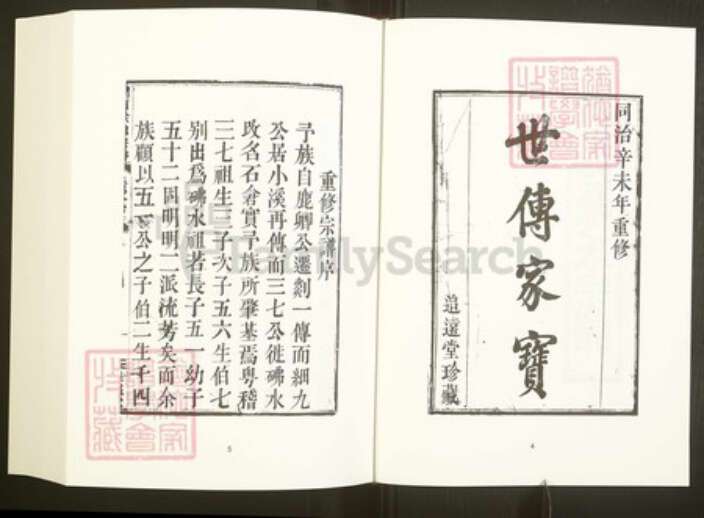 浙江省绍兴嵊州市下王镇徐氏追远堂族谱-中国珍稀家谱丛刊彩绘宗谱.第28~31册.剡西徐氏宗谱.林盛杨氏宗谱.pdf电子版预览图5