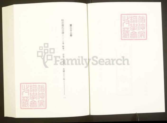 浙江省绍兴嵊州市崇仁镇应氏敦伦堂族谱-中国珍稀家谱丛刊彩绘宗谱.第32~36册.桂岩应氏宗谱.pdf电子版预览图2