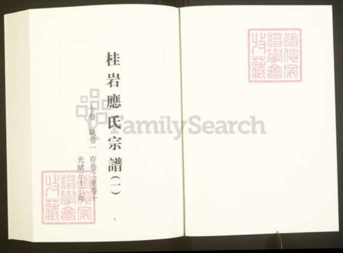 浙江省绍兴嵊州市崇仁镇应氏敦伦堂族谱-中国珍稀家谱丛刊彩绘宗谱.第32~36册.桂岩应氏宗谱.pdf电子版预览图3