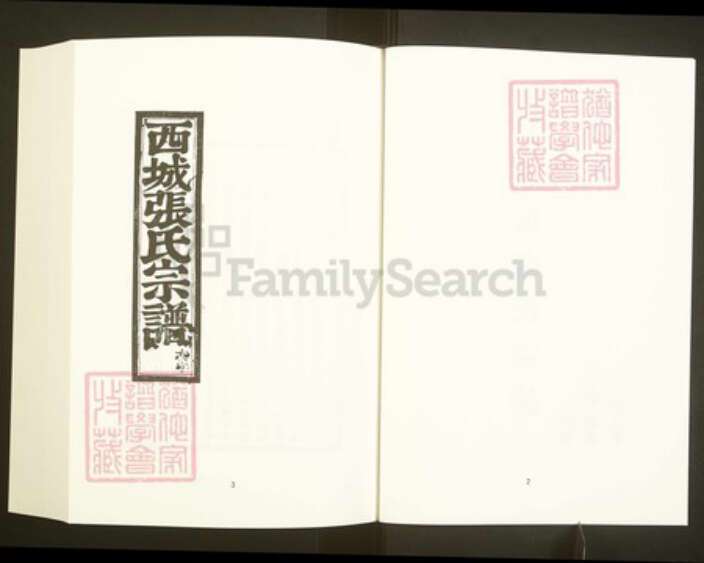 浙江省绍兴嵊州市张氏孝友堂族谱-中国珍稀家谱丛刊彩绘宗谱.第38册.西城张氏宗谱.pdf电子版预览图4