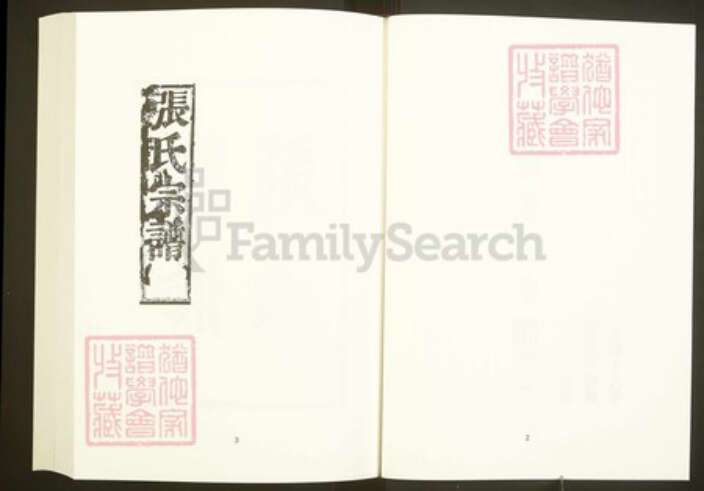 浙江省绍兴嵊州市张氏继述堂族谱-中国珍稀家谱丛刊彩绘宗谱.第39~40册.古剡张氏宗谱.pdf电子版预览图4