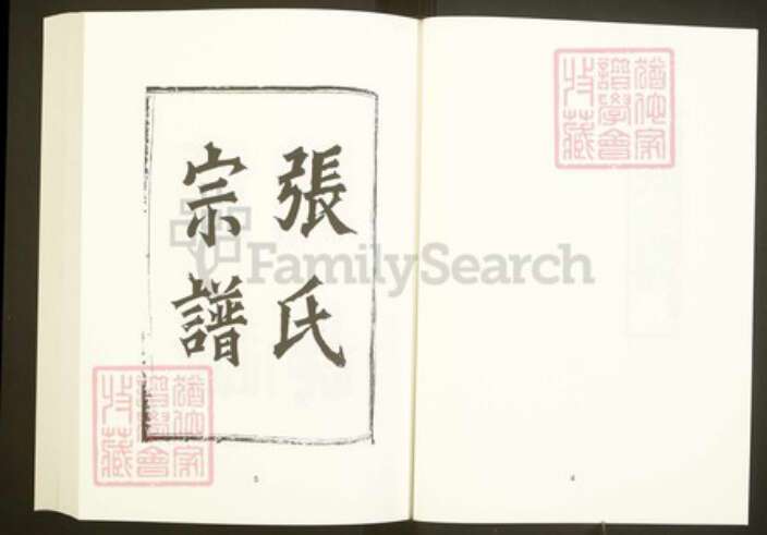 浙江省绍兴嵊州市张氏继述堂族谱-中国珍稀家谱丛刊彩绘宗谱.第39~40册.古剡张氏宗谱.pdf电子版预览图5