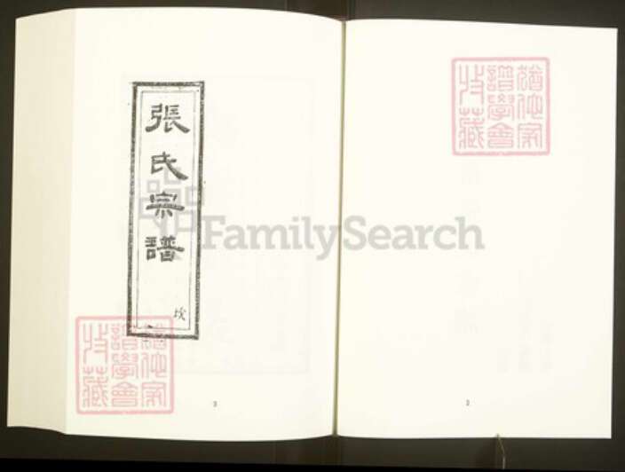 浙江省绍兴上虞区章镇张氏百忍堂族谱-中国珍稀家谱丛刊彩绘宗谱.第41册.虞南张氏宗谱.pdf电子版预览图4