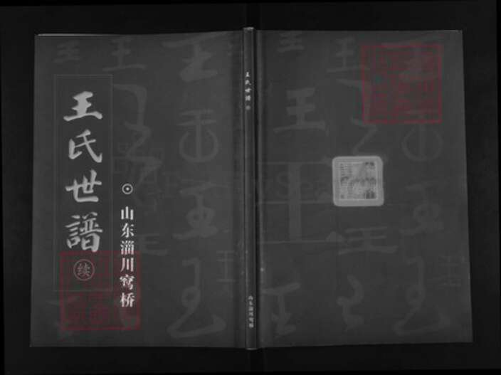 山东省淄博市淄川区王氏族谱-王氏世谱.pdf电子版缩略图