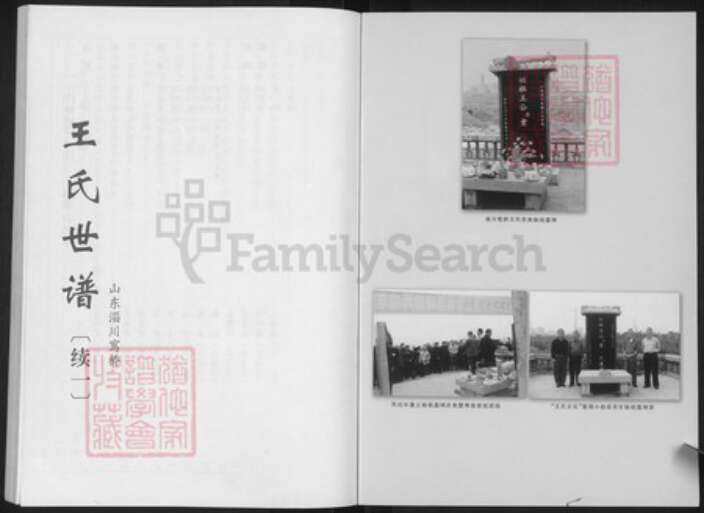 山东省淄博市淄川区王氏族谱-王氏世谱.pdf电子版预览图1