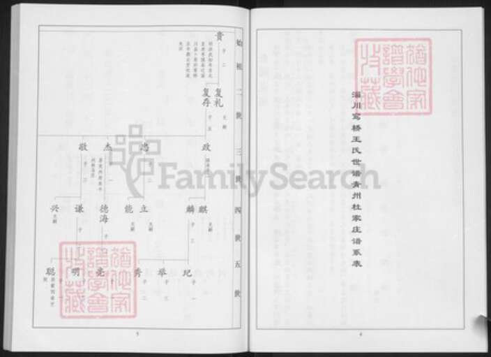 山东省淄博市淄川区王氏族谱-王氏世谱.pdf电子版预览图5