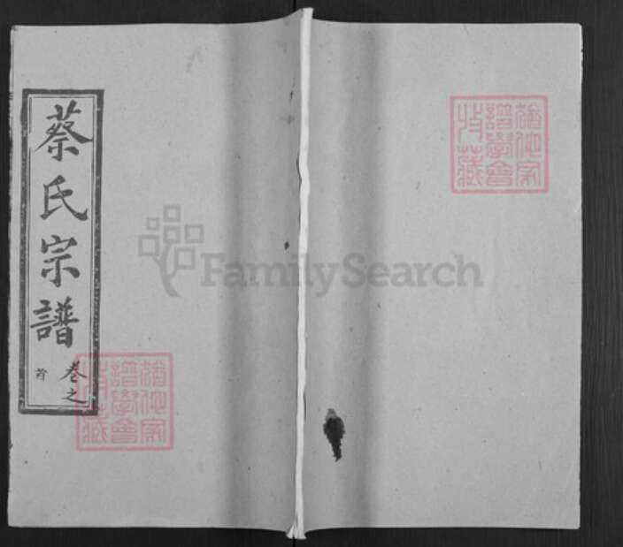 湖北省武汉市新洲区蔡氏洛阳堂族谱-蔡氏宗谱.pdf电子版缩略图