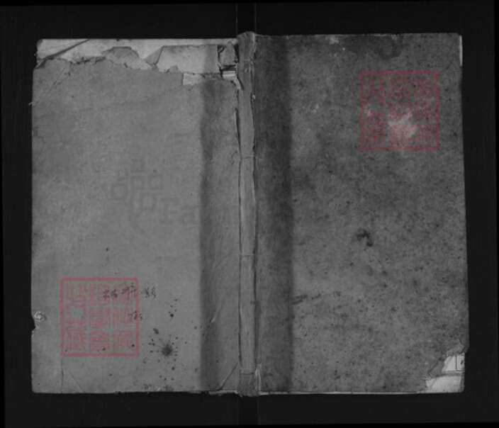 湖北省武汉市新洲区陈氏德星堂族谱-陈氏宗谱.pdf电子版缩略图