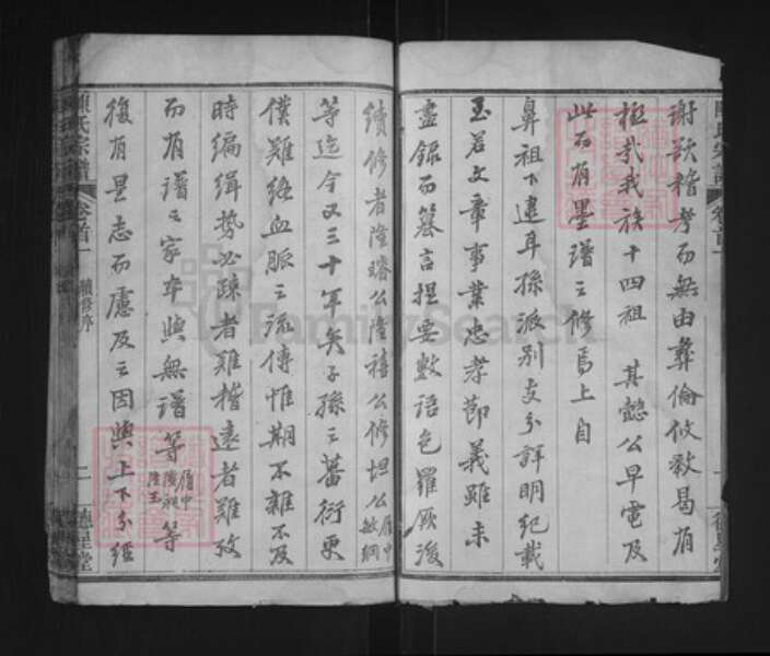 湖北省武汉市新洲区陈氏德星堂族谱-陈氏宗谱.pdf电子版预览图2