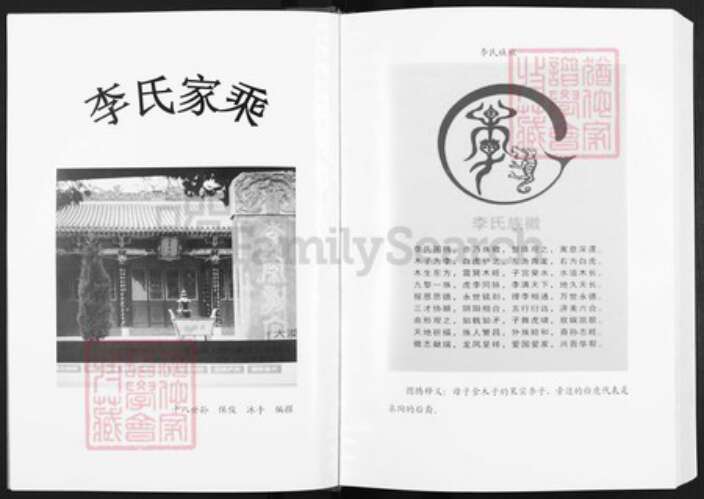 陕西省商雒市镇安县李氏陇西堂族谱-李氏宗谱.pdf电子版预览图2