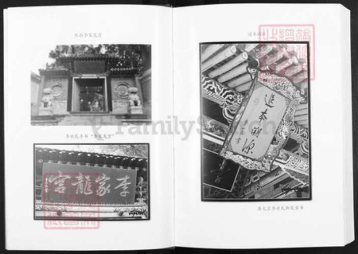 陕西省商雒市镇安县李氏陇西堂族谱-李氏宗谱.pdf电子版预览图4