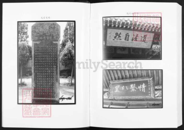 陕西省商雒市镇安县李氏陇西堂族谱-李氏宗谱.pdf电子版预览图5