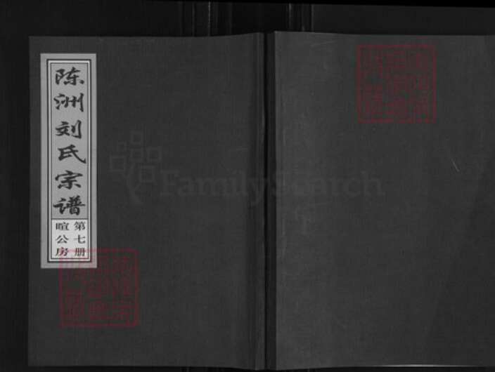 河南省周口市淮阳区刘氏族谱-陈洲刘氏宗谱.pdf电子版缩略图