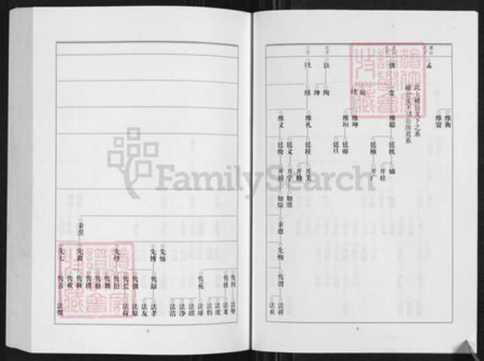河南省周口市淮阳区刘氏族谱-陈洲刘氏宗谱.pdf电子版预览图4