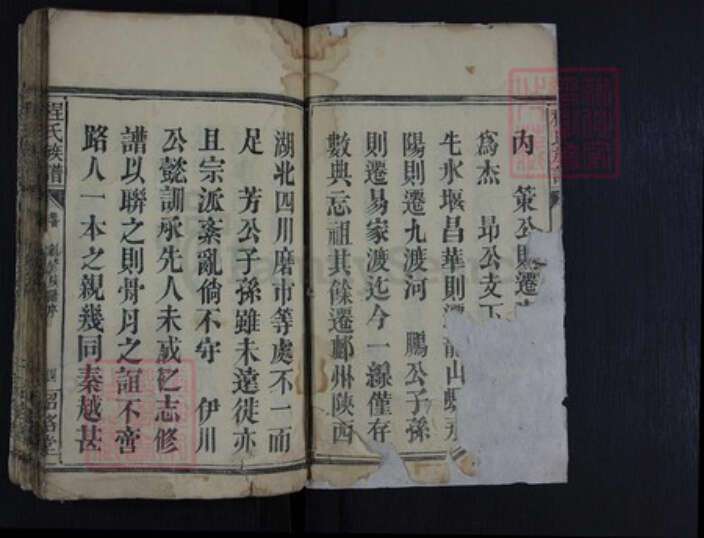 湖南省常德市石门县程氏族谱-程氏族谱.pdf电子版预览图2