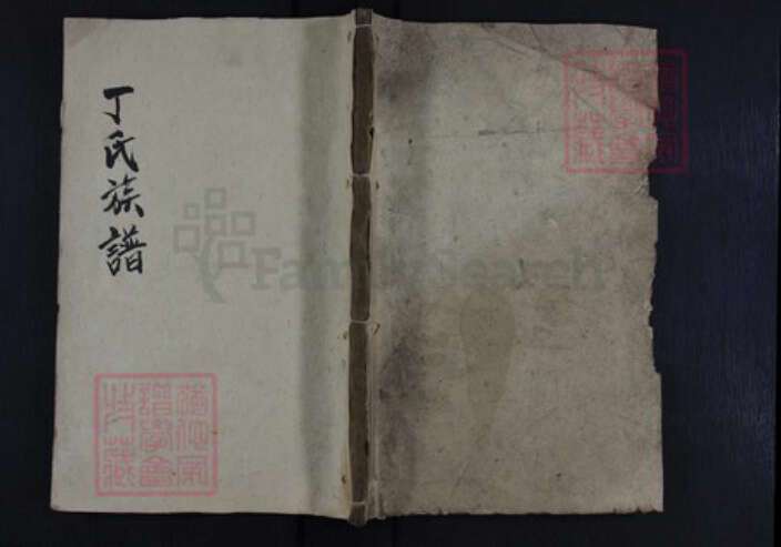 湖南省常德市石门县丁氏族谱-丁氏族谱.pdf电子版缩略图