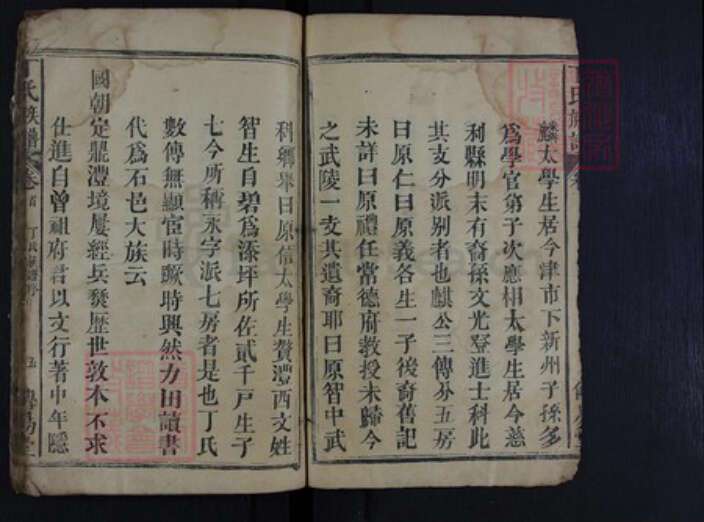 湖南省常德市石门县丁氏族谱-丁氏族谱.pdf电子版预览图4