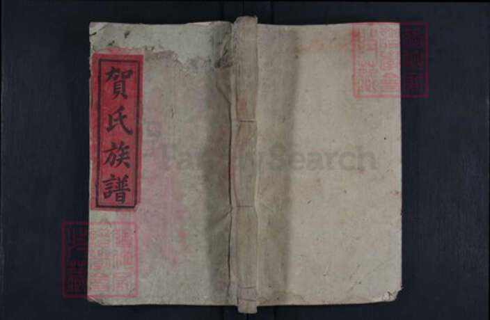 湖南省益阳市贺氏族谱-贺氏续修族谱.pdf电子版缩略图